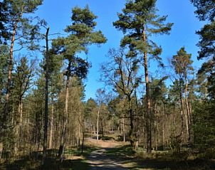 Unterkunft 324129 - Ferienhaus Veluwe - Huisje in Hattemerbroek