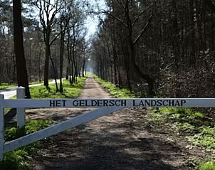 Unterkunft 324129 - Ferienhaus Veluwe - Huisje in Hattemerbroek