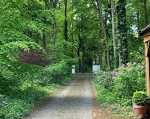 Unterkunft 324206 - Ferienhaus Veluwe - Vakantiehuis in Hattem