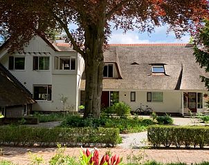 Unterkunft 324206 - Ferienhaus Veluwe - Vakantiehuis in Hattem