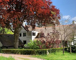 Unterkunft 324206 - Ferienhaus Veluwe - Vakantiehuis in Hattem