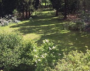 Unterkunft 324206 - Ferienhaus Veluwe - Vakantiehuis in Hattem