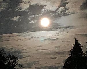 Unterkunft 324206 - Ferienhaus Veluwe - Vakantiehuis in Hattem