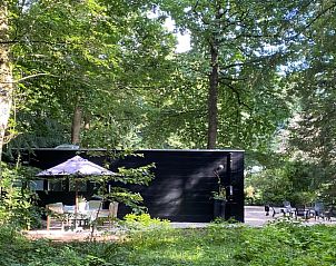 Unterkunft 324209 - Ferienhaus Veluwe - Huisje in Hattem