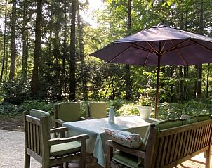 Unterkunft 324209 - Ferienhaus Veluwe - Huisje in Hattem