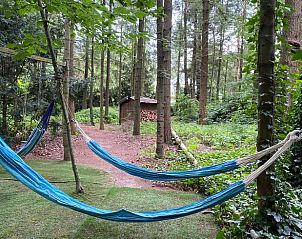 Unterkunft 324209 - Ferienhaus Veluwe - Huisje in Hattem