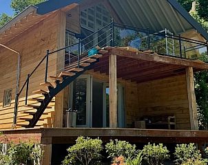 Unterkunft 324210 - Ferienhaus Veluwe - Vakantiehuisje in Hattem