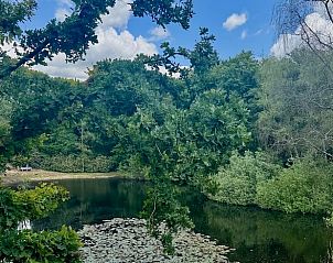 Unterkunft 324210 - Ferienhaus Veluwe - Vakantiehuisje in Hattem