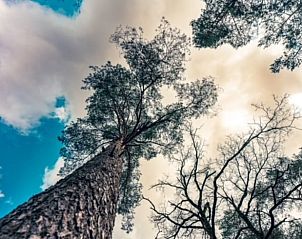 Unterkunft 324307 - Ferienhaus Veluwe - Vakantiehuis in Doornspijk
