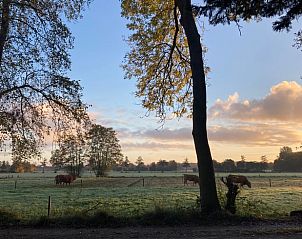 Unterkunft 324309 - Ferienhaus Veluwe - Vakantiehuisje in Doornspijk