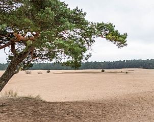 Unterkunft 324312 - Ferienhaus Veluwe - Huisje in Doornspijk
