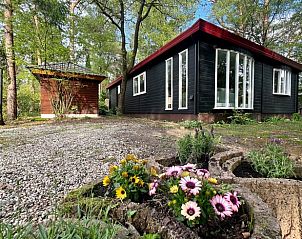 Unterkunft 324314 - Ferienhaus Veluwe - Huisje in Doornspijk