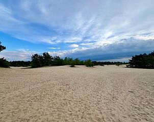 Unterkunft 324314 - Ferienhaus Veluwe - Huisje in Doornspijk