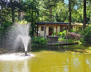 Unterkunft 324317 - Ferienhaus Veluwe - Huisje in Doornspijk
