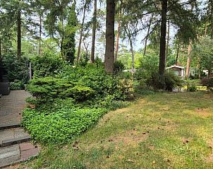 Unterkunft 324317 - Ferienhaus Veluwe - Huisje in Doornspijk