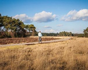 Unterkunft 324317 - Ferienhaus Veluwe - Huisje in Doornspijk