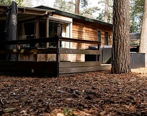 Unterkunft 324328 - Ferienhaus Veluwe - Vakantiehuis in Doornspijk