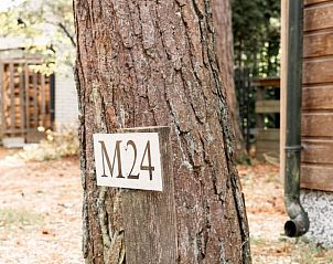 Unterkunft 324328 - Ferienhaus Veluwe - Vakantiehuis in Doornspijk