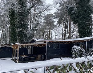 Verblijf 324329 - Chalet Veluwe - Chalet De Moeflon