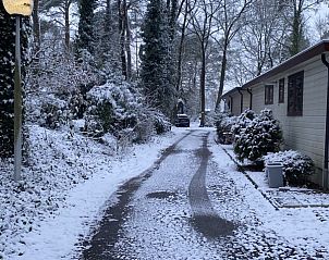 Verblijf 324329 - Chalet Veluwe - Chalet De Moeflon