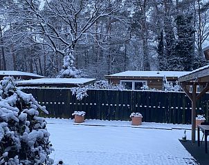 Verblijf 324329 - Chalet Veluwe - Chalet De Moeflon