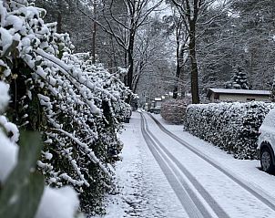 Verblijf 324329 - Chalet Veluwe - Chalet De Moeflon