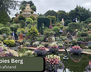 Verblijf 324329 - Chalet Veluwe - Chalet De Moeflon