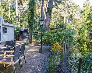 Verblijf 324331 - Chalet Veluwe - De Eekhoorn M20