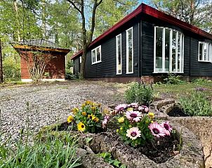 Verblijf 324333 - Chalet Veluwe - Boshuis op de Veluwe naast zwembad