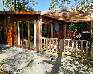 Verblijf 324334 - Chalet Veluwe - Veluwe Boschalet Egelnest