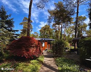 Verblijf 324338 - Chalet Veluwe - StayatSas Tiny House Pippa