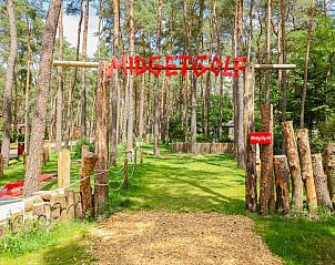 Verblijf 324339 - Chalet Veluwe - Herfstblos
