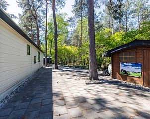 Verblijf 324339 - Chalet Veluwe - Herfstblos