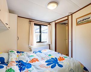 Verblijf 324339 - Chalet Veluwe - Herfstblos