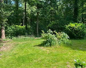 Unterkunft 324403 - Ferienhaus Veluwe - Huisje in Wapenveld