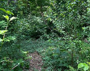 Unterkunft 324403 - Ferienhaus Veluwe - Huisje in Wapenveld