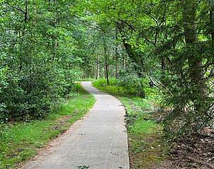 Unterkunft 324403 - Ferienhaus Veluwe - Huisje in Wapenveld