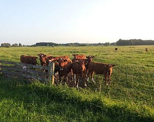 Verblijf 324405 - Vakantiewoning Veluwe - het leukste vakantiehuisje