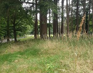 Verblijf 324405 - Vakantiewoning Veluwe - het leukste vakantiehuisje