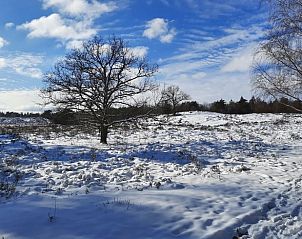 Unterkunft 324407 - Ferienhaus Veluwe - Vakantiehuis in Wapenveld