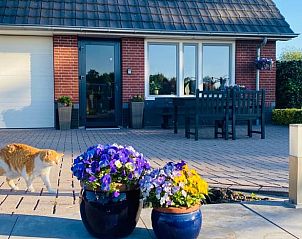 Unterkunft 324409 - Ferienhaus Veluwe - Vakantiehuis in Wapenveld