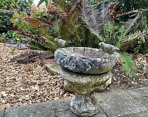 Unterkunft 324410 - Ferienhaus Veluwe - Vakantiehuis in Wapenveld