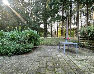 Unterkunft 324410 - Ferienhaus Veluwe - Vakantiehuis in Wapenveld