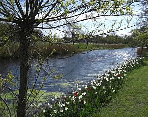 Guest house 324502 - Apartment Noordzeekust - Hotel Den Helder