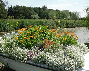 Guest house 324502 - Apartment Noordzeekust - Hotel Den Helder