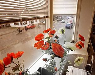 Guest house 324507 - Apartment Noordzeekust - Bbstudio3