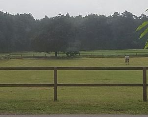Unterkunft 324903 - Ferienhaus Veluwe - Vakantiehuis in Loenen