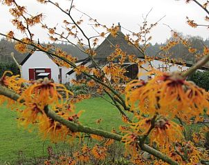 Unterkunft 324903 - Ferienhaus Veluwe - Vakantiehuis in Loenen