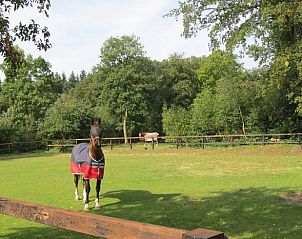 Unterkunft 324903 - Ferienhaus Veluwe - Vakantiehuis in Loenen