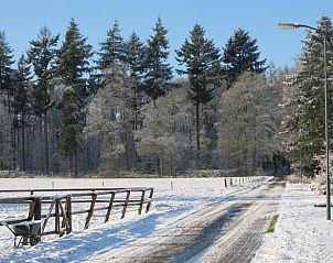Unterkunft 324903 - Ferienhaus Veluwe - Vakantiehuis in Loenen